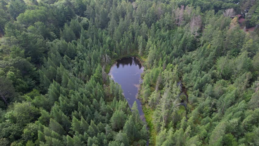 Aerial view of Eagle River Wisconsin in the Northwoods during summer.  Bird