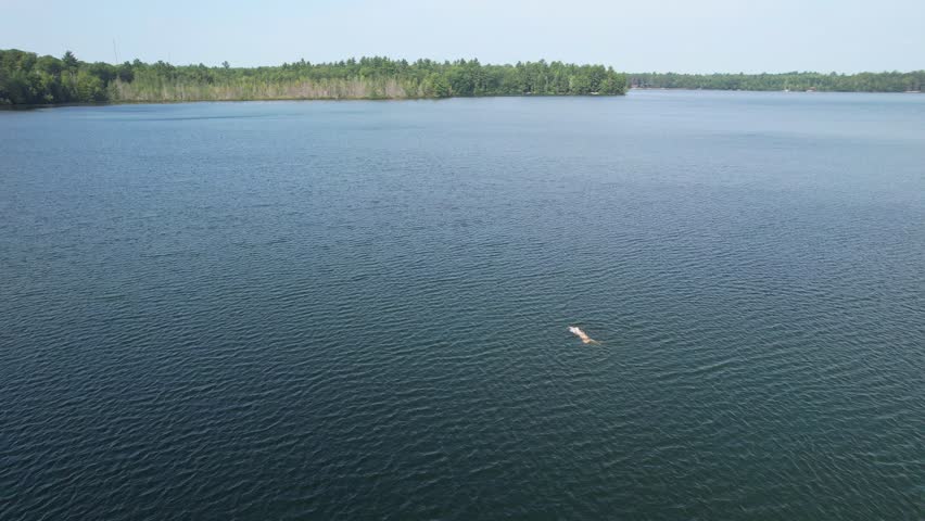 Aerial view of Eagle River Wisconsin in the Northwoods during summer.  Drone shot of man swimming in the distance.