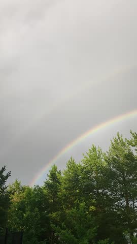 Double rainbow over the forest