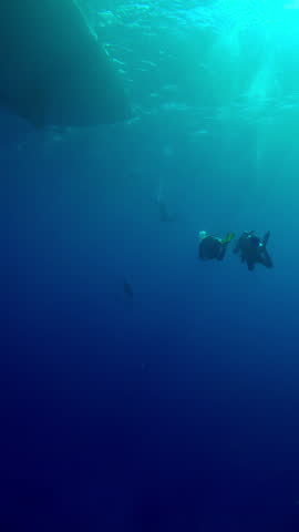 Vertical footage, Scuba divers swim in the blue depths towards a diving boat with a sunny day in backlight, Slow motion of divers returning underwater to a safari boat
