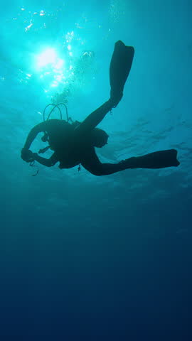 Vertical footage, Bottom view on silhouette of scuba diver swims in the blue depths of the ocean illuminated by sunrays, Contre-jour, Slow motion of a diver swims on the deep in sunlight, Back light