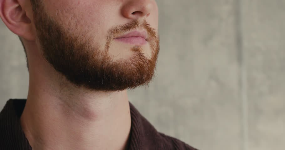 Close-up shot of the lower part of a young man face with a reddish beard indoors. Masculinity and strong male features.