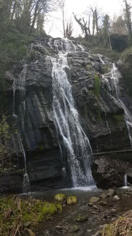 Beautiful Waterfall Cascading Down Rocks in a Lush Forest