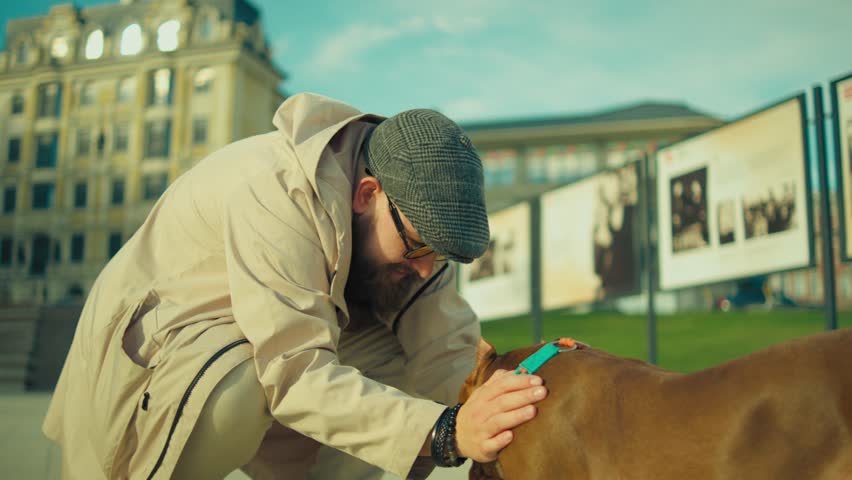 Owner petting his dog. American Bully dog licking its owner. Close-up, tracking camera