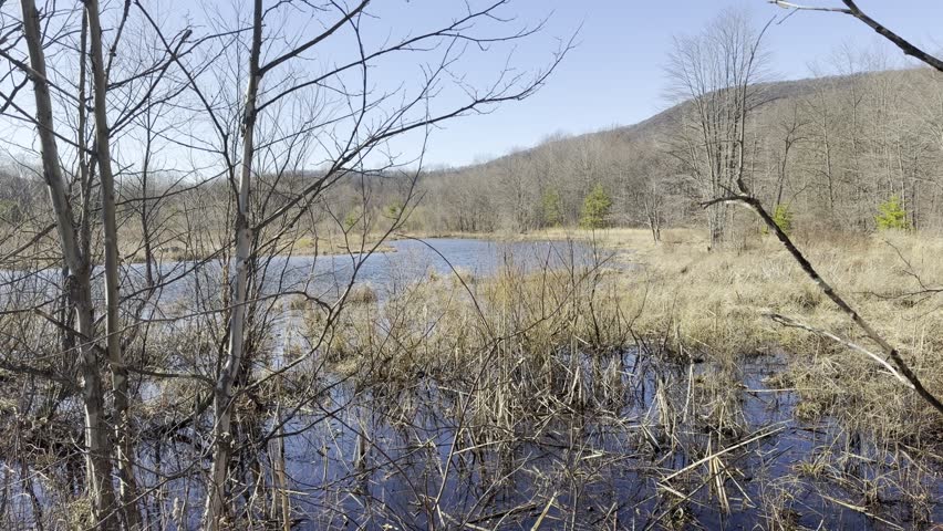 Pond in Hamburg Pennsylvania on a sunny Saturday afternoon 