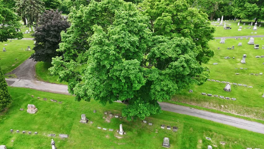 A graveyard with gravestones scattered and littering the fields.