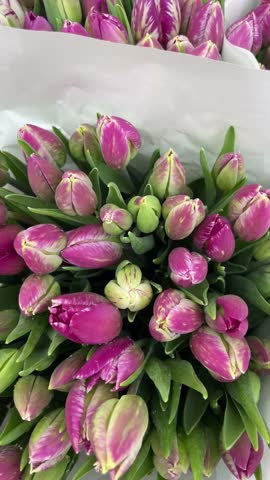 Tulip bouquets at the market in Amsterdam City.