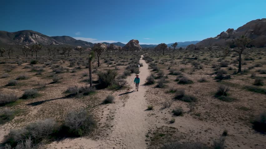 Mature woman walks along hiking trails with flowering Joshua trees in Joshua Tree National Park, California during bright daylight.