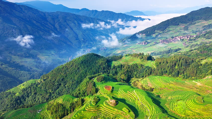 Drone aerial view of green Longji Rice Terraces landscape with morning fog in Guilin, China