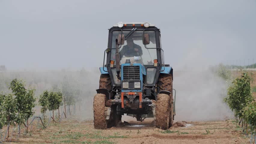 Blue tractor spraying chemicals in a young fruit orchard
