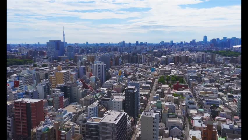 Wide Aerial View of Tokyo Urban Sprawl with Tokyo Skytree and Shinjuku Skyline, Japan