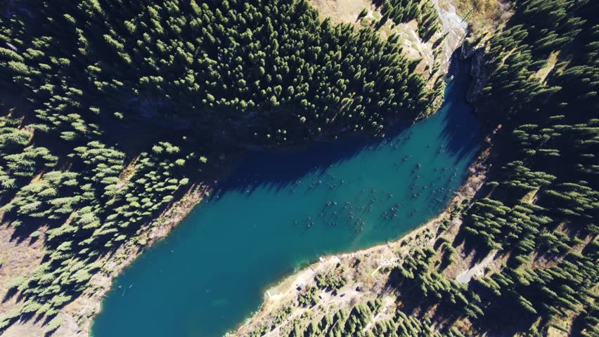 Abstract aerial shot with a slow Dutch tilt and axial rotation over a deep azure lake with a sunken forest. 4K, color graded.