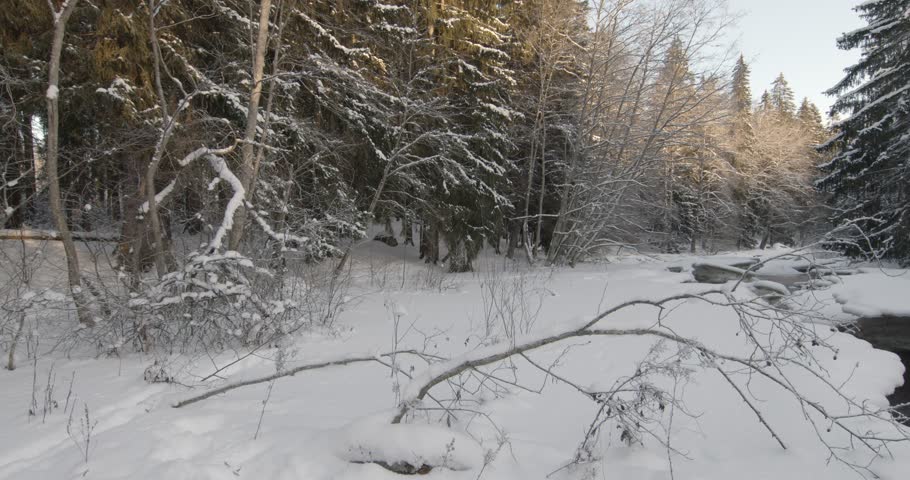 Tranquil, partially frozen river flowing through a snow-covered forest during winter, Matarinkoski, Vantaa, Finland, Europe.