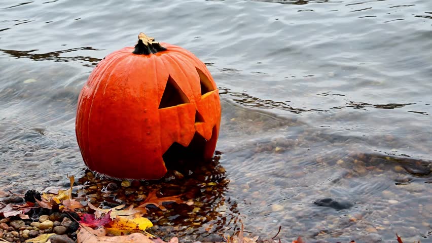 A carved orange pumpkin, known as a Jack-o-lantern (Cucurbita pepo), the principal symbol of the Halloween holiday, floating near the shoreline in autumn in a bay of the Raritan River, New Jersey, USA
