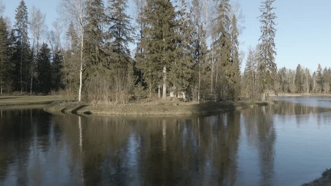 Drone Flying Forward above Pond toward Forest
