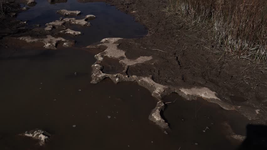 A close-up view of muddy water on a trail, a mixture of rocks, mud, and twigs.