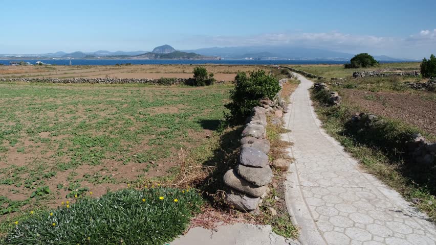 A hiker walks along a traditional stone wall trail in Gapado, Jeju. The scenic path offers breathtaking views of Hallasan, with clear blue skies and lush farmland creating a serene setting.