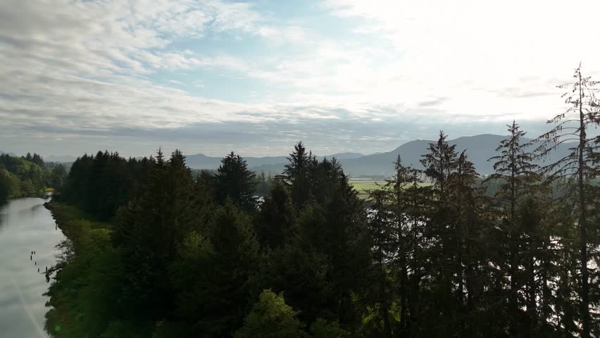 Nehalem Oregon River and Evergreen Trees Landscape