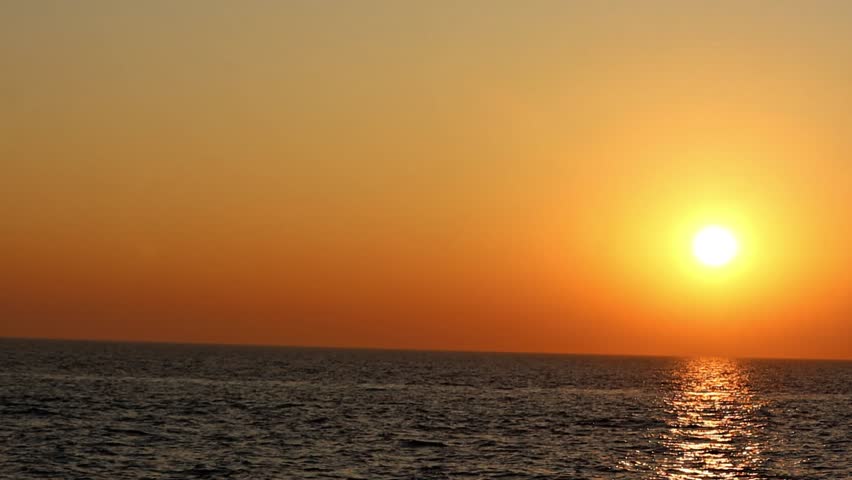 Seagull flying at sunset. Bird is gracefully gliding through air, with wings spread wide. Silhouette of seagull flying in slow motion. Freedom concept.