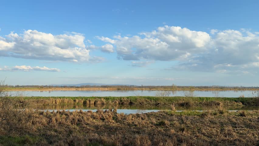 Wide Panoramic View of Serene Wetlands Under a Bright Blue Sky