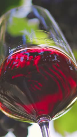 Red wine swirling in a crystal glass against a sunlit vineyard, vertical close up of a luxury alcoholic drink. Fresh grapes and a glass of ruby wine in the garden. Wine tasting