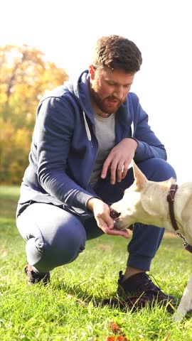 man and his dog play in the woods during a walk, a playful dog walks with its owner on a sunny autumn day. the concept of "animals and people".