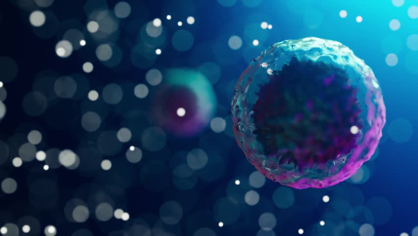 visualization of stem cell in blue tone footage, 3d illustration rendering