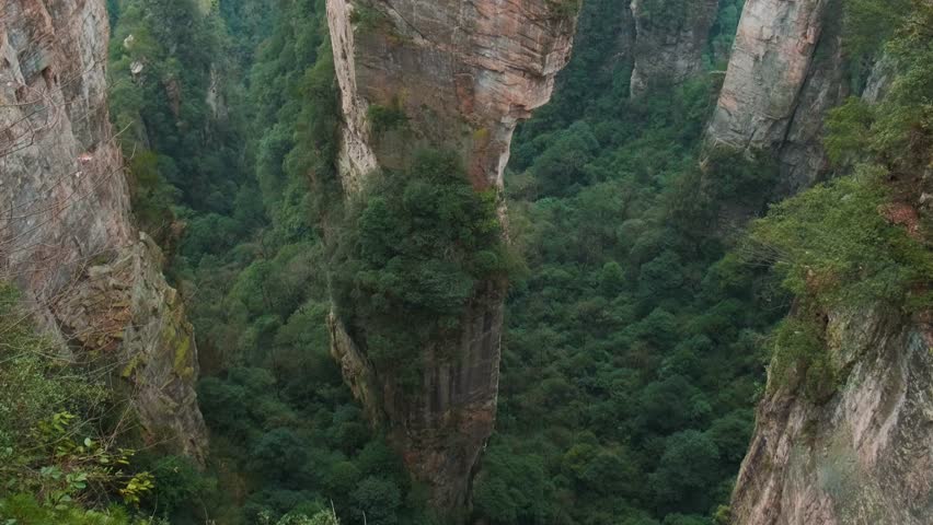 Iconic mountain sandstone pillar with pine trees rising above misty forested valley in Yuanjiajie scenic area of Zhangjiajie National Forest Park landscape, Hunan, China. Travel and tourism landmark 