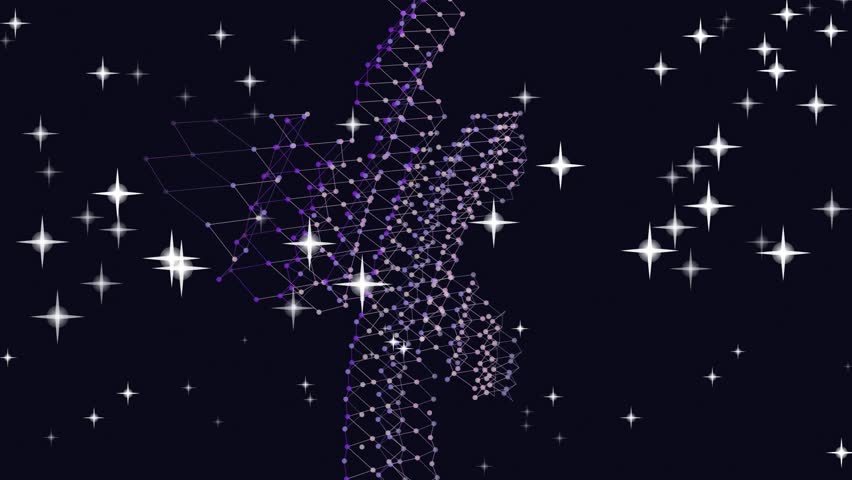 Video of a shooting star trail in a dark night sky with many stars