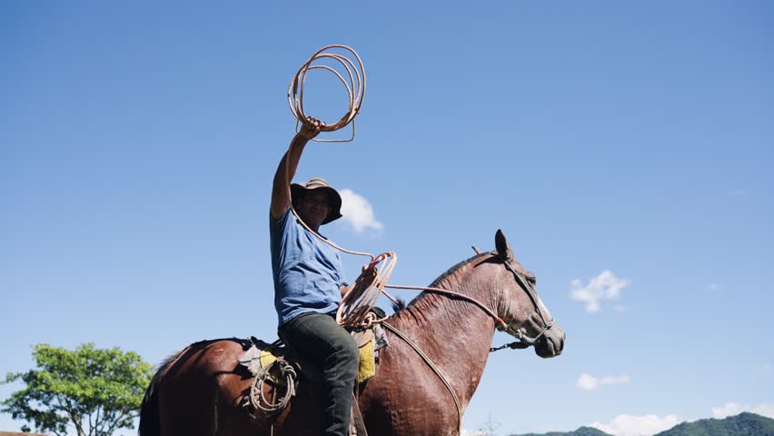 Cowboy sitting on a brown horse, expertly spinning a lasso over his head. Ranch hand showing roping skills on a sunny day with blue sky