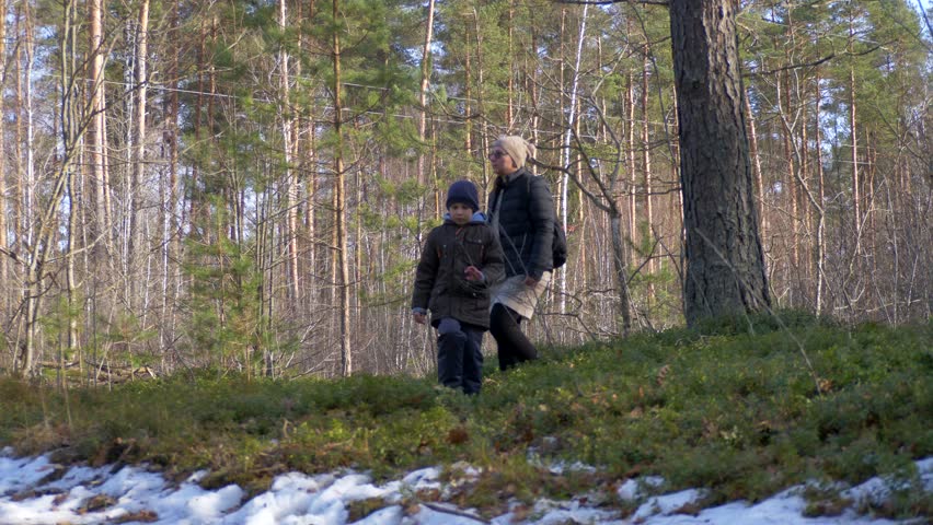 Boy Examining Forest Floor Plants While Mother Watches in Pine Forest — Child Nature Discovery, Family Foraging Walk, Kids Learning About Wild Plants Outdoor Video