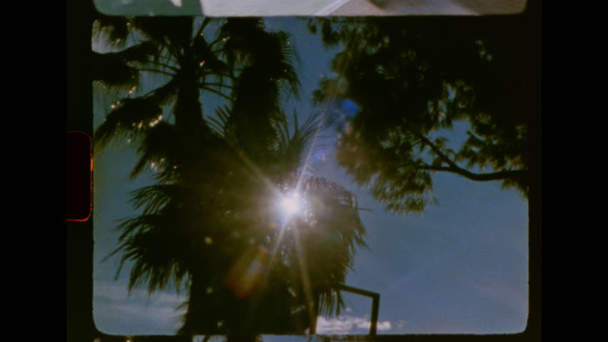 Low angle shot of sunlight flaring through palm tree leaves. The footage has a vintage, retro 8mm film aesthetic with light leaks, film grain, and sprocket holes visible