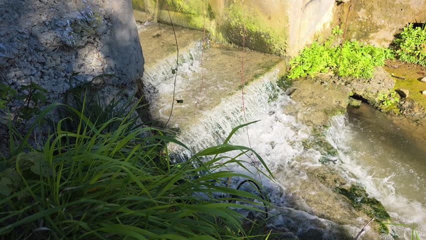 Water flowing on a concrete weir creating a small waterfall in a peaceful forest stream in summertime