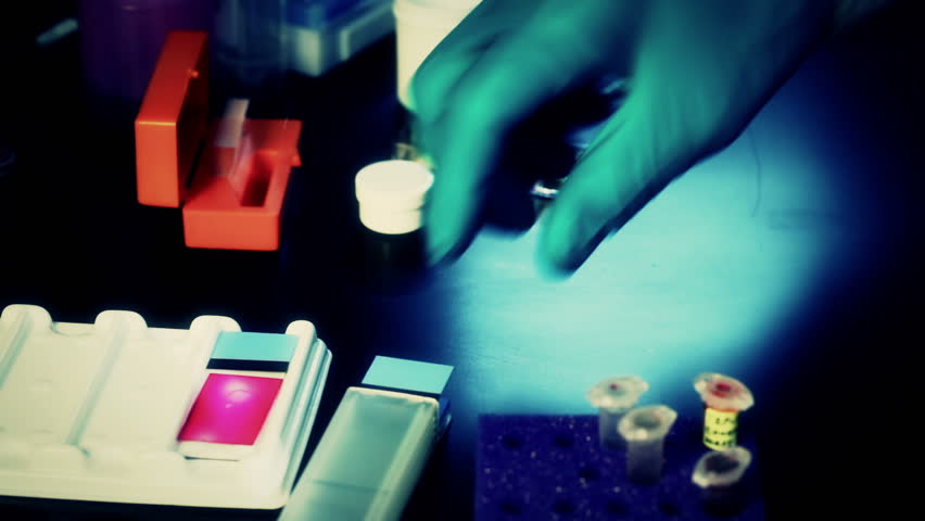 Experiment in the microbiology laboratory