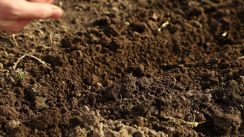 Close up of a farmer