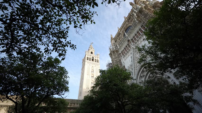 La Giralda and Seville Cathedral rise over Patio de los Naranjos in Seville, Spain. Low angle, wide angle, soft clouds, warm late afternoon light, branches sway.