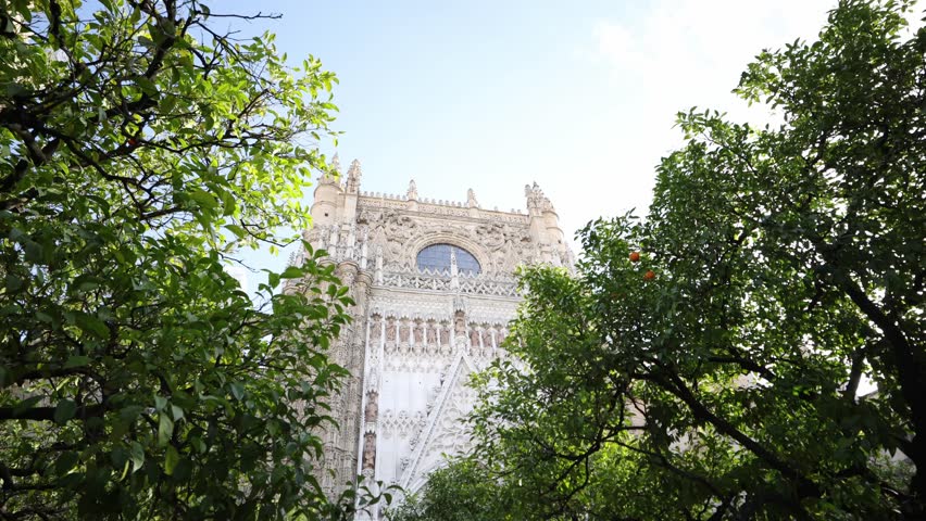 Sunlit orange trees and citrus in Spain frame the Gothic west front of Seville Cathedral as the camera pans upward, breeze moves leaves, and light sculpts stone relief.
