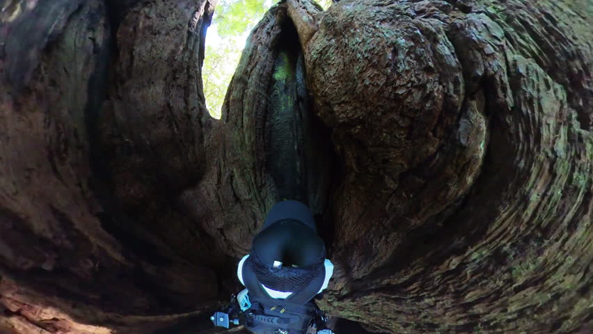 Redwood National Park Hiking POV Inside the Tree 01 California USA