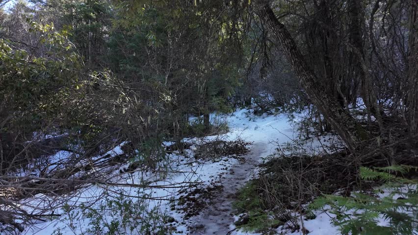 Hiking along a forest trail in Mount Hood National Forest during winter on the way to Tamanawas Falls with snow covered ground, partially frozen sections and evergreen trees surrounding the path. Well traveled trail through a scenic Pacific Northwest landscape with natural textures, woodland atmosphere and outdoor adventure environment. Ideal nature background footage for travel, hiking, exploration and seasonal content. Stabilized 4k video captured using pocket action camera in USA.