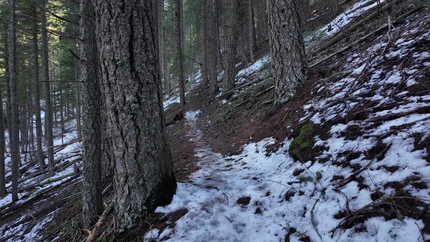 Hiking along a forest trail in Mount Hood National Forest during winter on the way to Tamanawas Falls with snow covered ground, partially frozen sections and evergreen trees surrounding the path. Well traveled trail through a scenic Pacific Northwest landscape with natural textures, woodland atmosphere and outdoor adventure environment. Ideal nature background footage for travel, hiking, exploration and seasonal content. Stabilized 4k video captured using pocket action camera in USA.