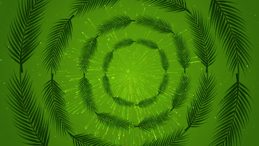 PALM SUNDAY BG in HD