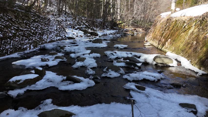 Clear stream flows through snowy forest floor. Rocks dot the water