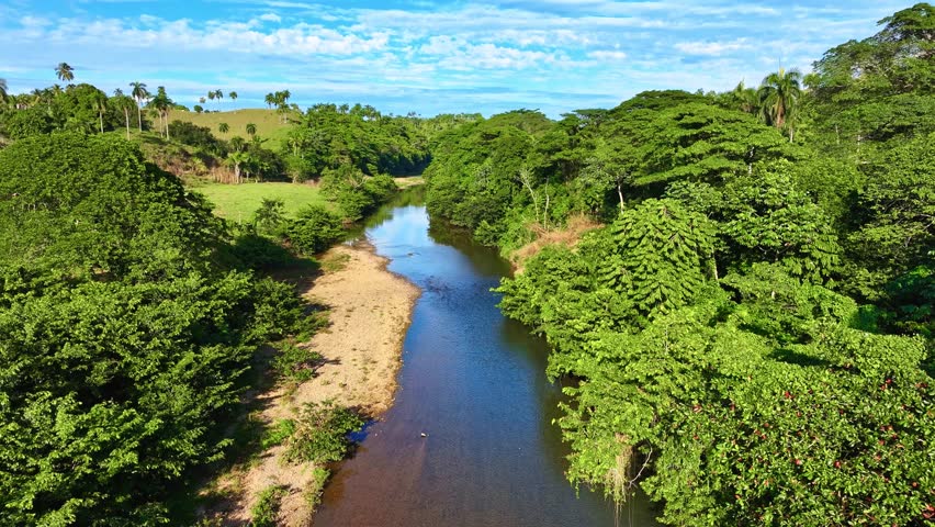 A tranquil blue river flowing through a lush forest landscape, reflecting sunlight. A Dominican Republic wilderness landscape. A peaceful stream flowing through a verdant tropical rainforest.