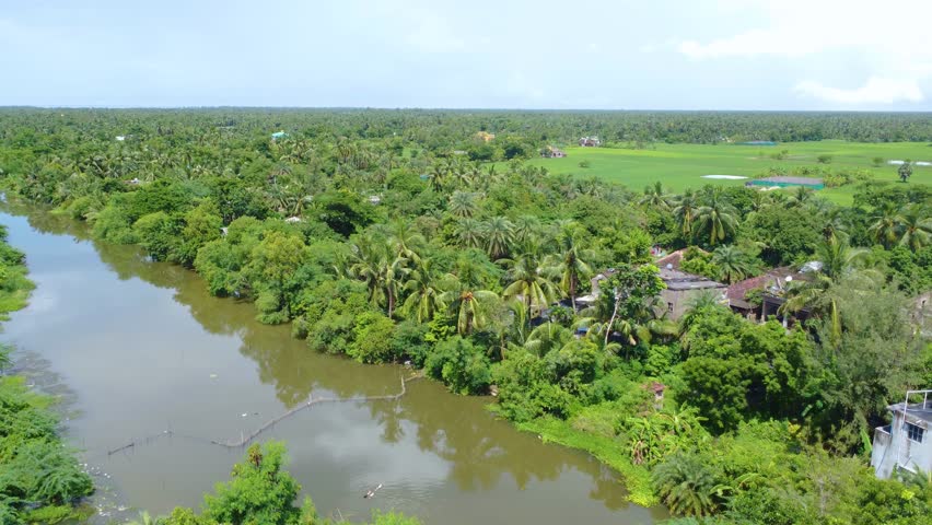 Aerial view of houses, palm trees, river, and expansive green fields.