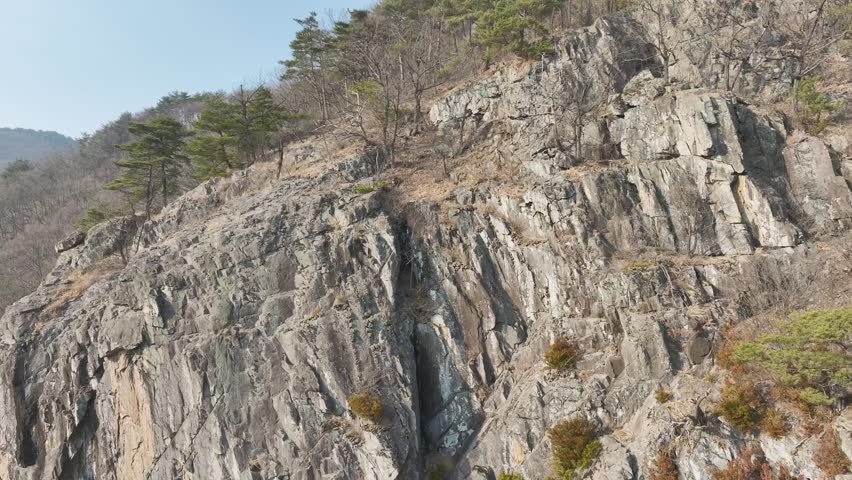 Aerial drone shot of a resilient pine tree growing on a steep, rocky cliff in Mungyeong, South Korea