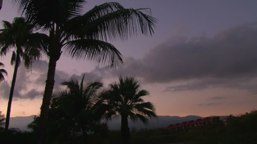 Time lapse of sun rising above crater in Maui, Hawaii with palm trees blowing.