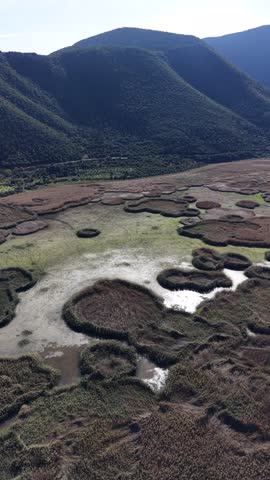 Vertical aerial drone view of wetland marsh with shallow water pools and reed islands surrounded by mountain landscape in Lake Kerkini National Park Central Macedonia Greece