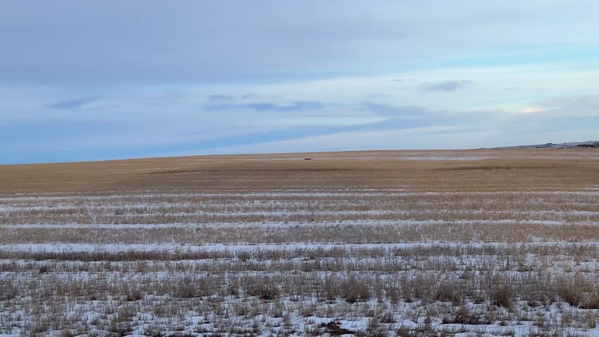Open prairie farmland landscape in Alberta featuring wide fields and expansive rural horizon. 
