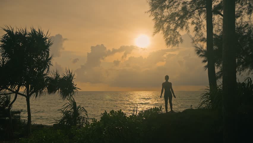 Silhouette of a woman standing under a tree near the seashore looking out toward the sunset over the ocean. Calm tropical holiday moment with warm sky and peaceful atmosphere