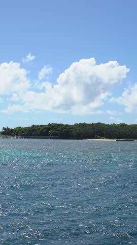 vertical video of Green island seascape in the great barrier reef australia